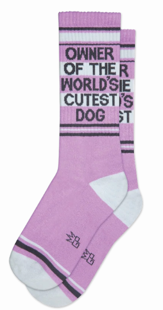 Owner of the World's Cutest Dog Crew Sock