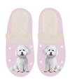 Snuggs Bichon Frise Slipper - Comfy - Pet lovers: Small