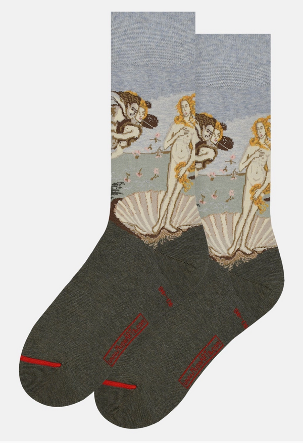 Art Socks -Sandro Botticelli -Birth of Venus -Medium