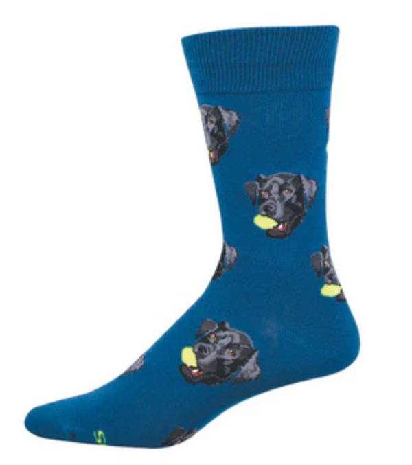 Men's Black Lab Crew Socks - Teal