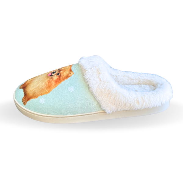 Snuggs Pomeranian Snuggs Slipper - Comfy - Pet lovers: Large